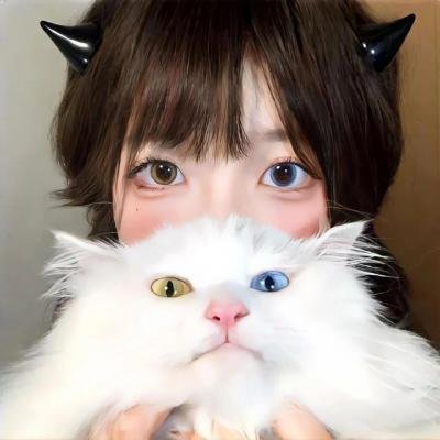 蒙面侠苏洛